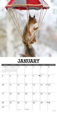 2027 Willow Creek Gettin' Squirrelly 12" x 12" Monthly Wall Calendar, Assorted Colors (60407)