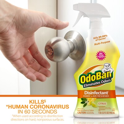 OdoBan Air Freshener & Deodorizer Spray, Citrus Scent, 32 oz. (910601-Q6)