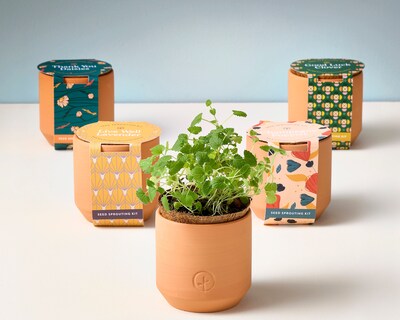 Modern Sprout Tiny Terracotta Kit - Thank You Daisies