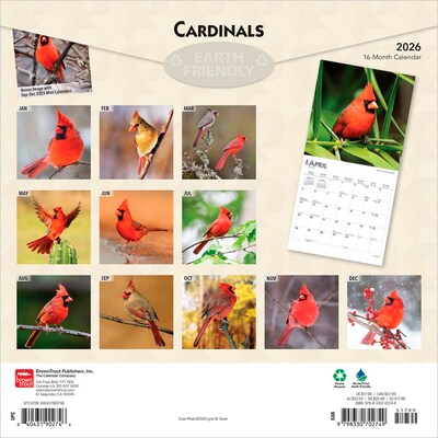 2026 BrownTrout Cardinals 12 x 12 Monthly Wall Calendar (9798330702749)