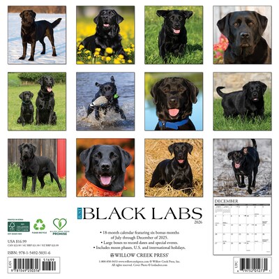 2026 Willow Creek Black Labs 12 x 12 Monthly Wall Calendar (50316)
