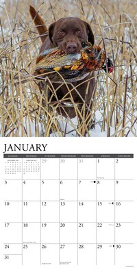 2027 Willow Creek Hunting Labs  12" x 12" Monthly Wall Calendar (60742)