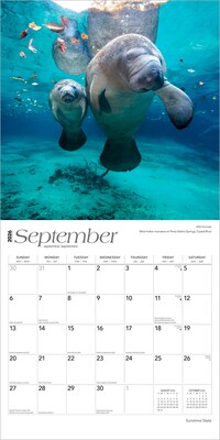 2026 BrownTrout Sunshine State Florida Places 12" x 12" Monthly Wall Calendar (9798330707683)
