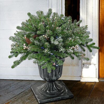 National Tree Company 24 Snowy Morgan Spruce Porch Bush with Twinkly LED Lights (PEMG3-300T-24PS)