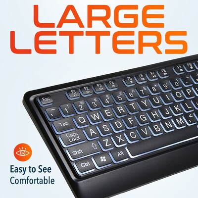 Delton KB20 Large Button/Key Keyboard with Backlight, Black (DBKBG20)