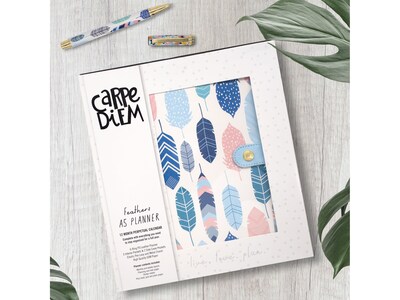 Carpe Diem Feathers 8" x 9.4" Weekly & Monthly Planner, Faux Leather Cover, Multicolor (9209-CD)