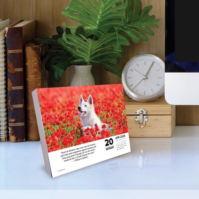 2026 Willow Creek What Dogs Teach Us 6.2" x 5.4" Day-to-Day Calendar (54512)