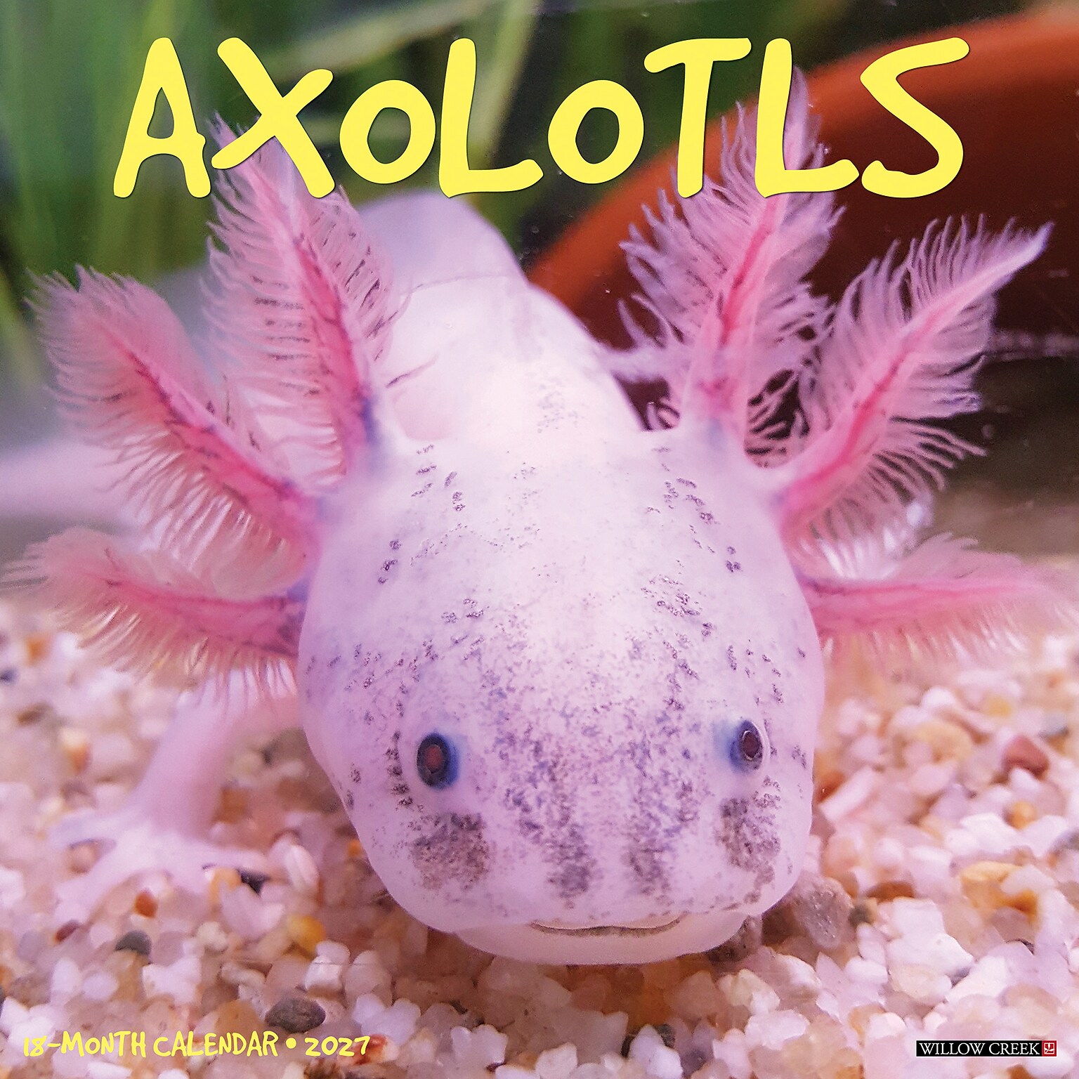 2027 Willow Creek Axolotls 12 x 12 Monthly Wall Calendar, Assorted Colors (58947)
