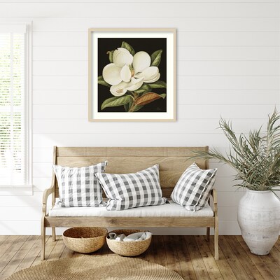 Amanti Art Magnolia Grandiflora 2003 by Jenny Barron Wood Framed Wall Art Print, 31" x 33" (A42675530231)