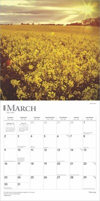 2025 BrownTrout Blessings 12" x 12" Monthly Wall Calendar (9781975476656)