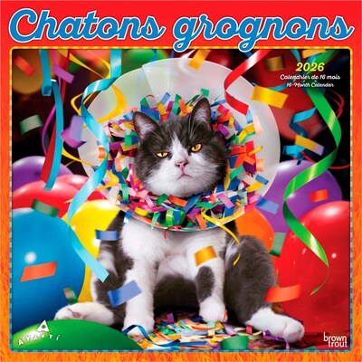 2026 BrownTrout Avanti Chatons Grognons OFFICIEL 12 x 12 Monthly Wall Calendar (9798330707287)