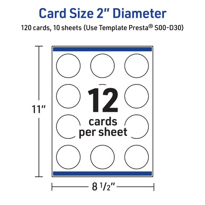 Avery Gold & Navy Border w/ Florals Matte Blank Card, White, 120/Pack (S00-D30)