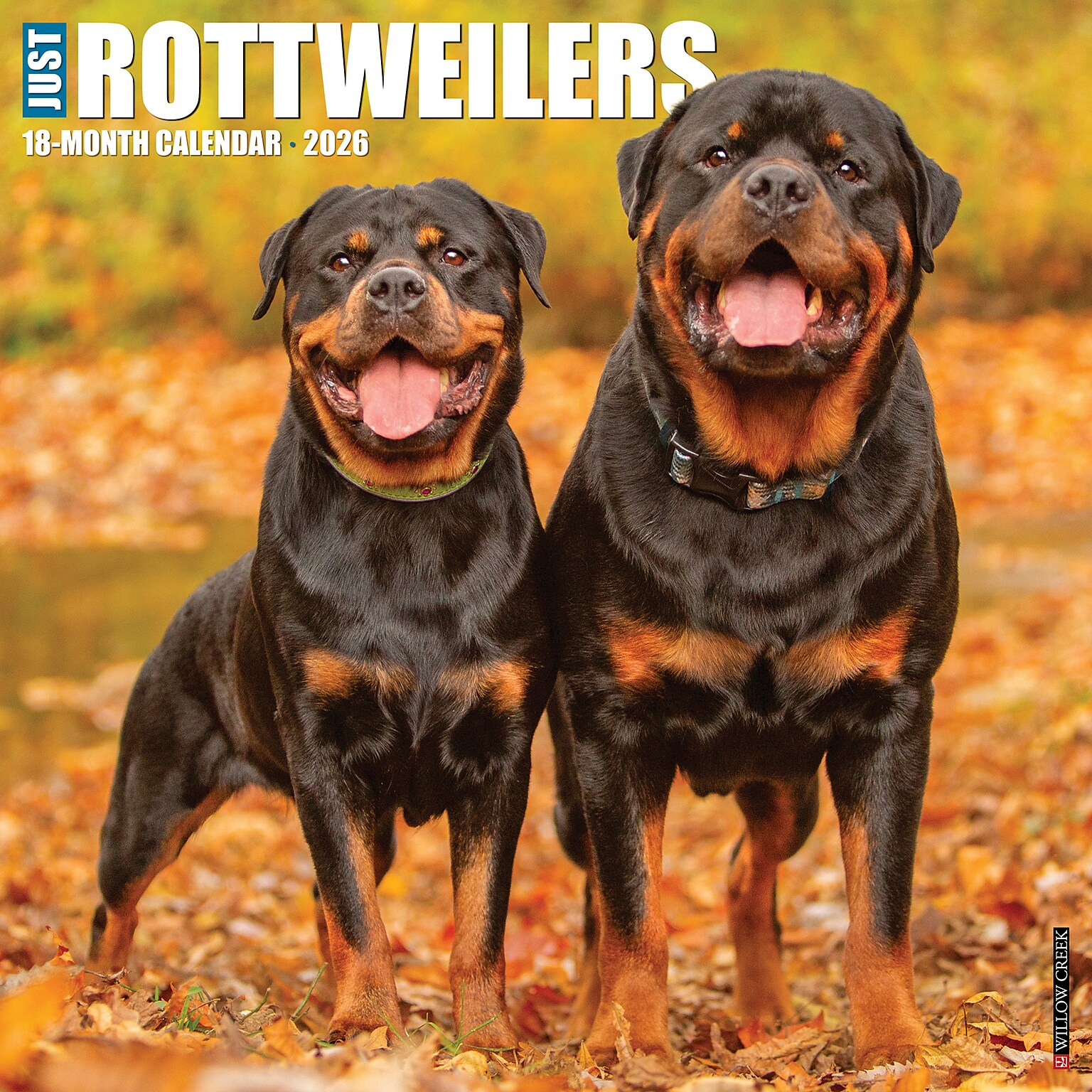 2026 Willow Creek Rottweilers 12 x 12 Monthly Wall Calendar (52617)