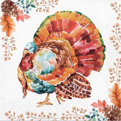 Say Hooray! Tasteful Turkey Paper Plates and Napkins Kit, Multicolored, 48/Pack (DTC9386E2G)