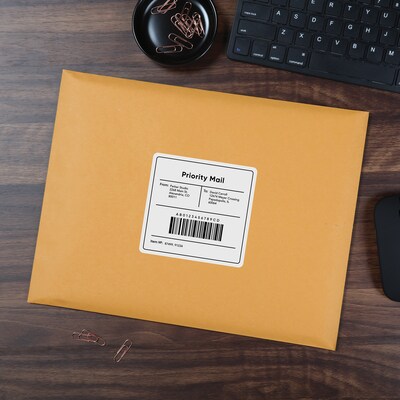Quality Park Clasp & Moistenable Glue Kraft Catalog Envelopes, 10" x 13", Brown Kraft, 100/Box (QUA37897)