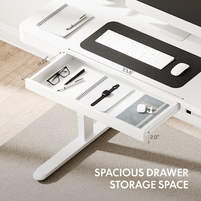 FlexiSpot EW2 48"W Electric Adjustable Standing Desk, White (EW2W-E)