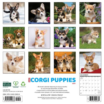 2027 Willow Creek Corgi Puppies 12 x 12 Monthly Wall Calendar, Assorted Colors (59838)