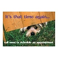 Medical Arts Press® Veterinary Standard 4x6 Postcards; Dog Under Fence