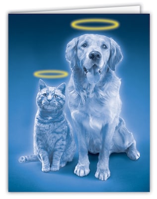 Medical Arts Press® Veterinary Sympathy Cards; Pets with Halos, Personalized