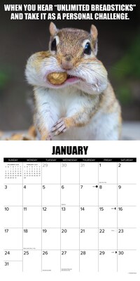 2027 Willow Creek Animal Antics 12" x 12" Monthly Wall Calendar, Assorted Colors (58787)