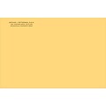 Medical Arts Press® Imprinted Mailing/Catalog Envelopes; 9x12, Brown Kraft, 250/Box