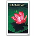 Medical Arts Press® Standard 4x6 Postcards; Water Lily