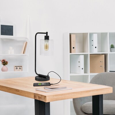 Lalia Home Studio Loft Modern Iron Desk Lamp, 18.8", with USB Port, Matte Black (LHD-2002-BK)
