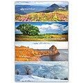 Medical Arts Press® Chiropractic Standard 4x6 Postcards; Medical Arts Press® Chiropractic Seasons