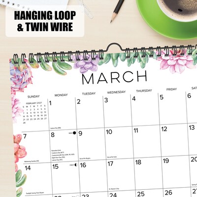 2027 Willow Creek Succulents 12" x 12" Monthly Wall Calendar, Assorted Colors (65617)