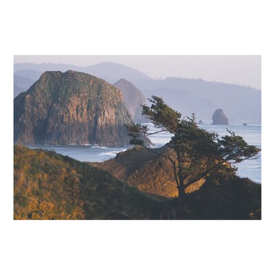 Medical Arts Press® Standard 4x6 Postcards; Hazy Shoreline