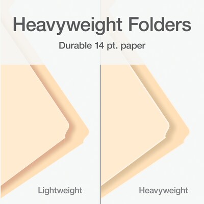 Pendaflex Heavy Duty File Folder, 1/3-Cut Tab, Assorted, Letter Size, Manila, 100/Box (1007080)