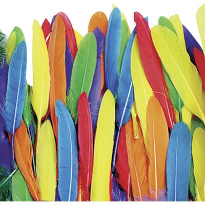 Creativity Street® Duck Quill Feathers (CK-4505)