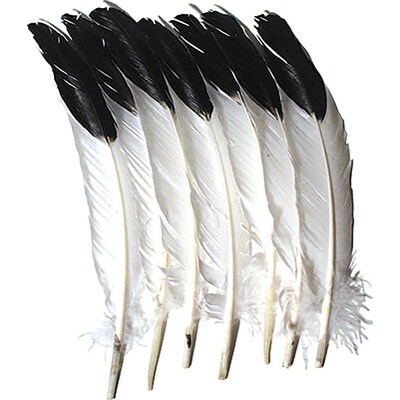 Chenille Kraft® Feathers; Imitation Eagle