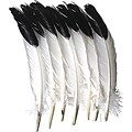 Chenille Kraft® Feathers; Imitation Eagle
