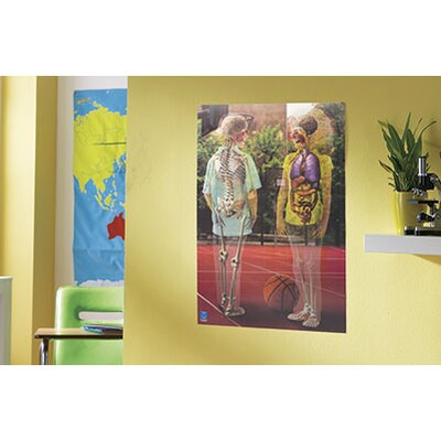 Inside Out Lenticular Human Body Poster
