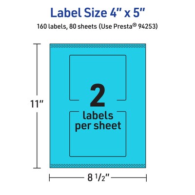 Avery Rectangle Multipurpose Labels, 4" x 5", Bright Blue, 160/Box (94253)