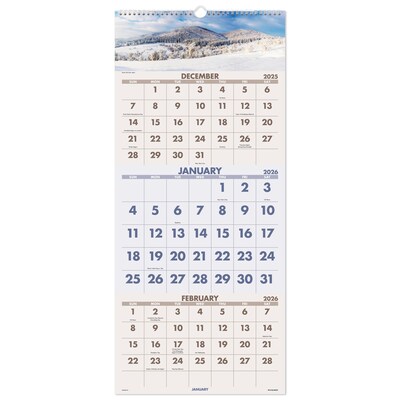 2026 AT-A-GLANCE Scenic 12 x 27 Three-Month Wall Calendar (DMW503-28-26)