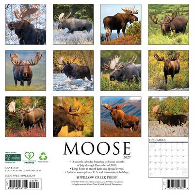 2027 Willow Creek Moose 12 x 12 Monthly Wall Calendar, Assorted Colors (61329)