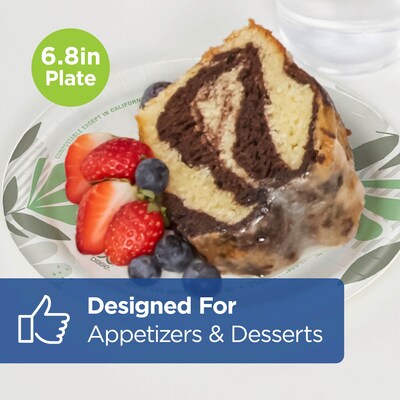 Dixie Pathways 6.8" Paper Plates, Multicolored, 125 Plates/Pack (UX7WS)