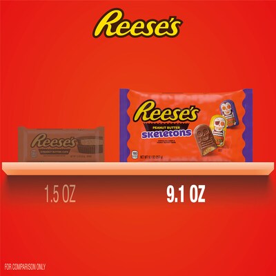 Reese's Chocolate Peanut Butter Skeletons Candy Bag, 9.1 oz. (HEC48305)
