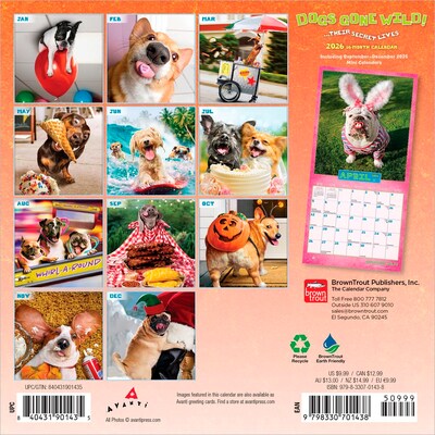 2026 BrownTrout Avanti Dogs Gone Wild 7 x 7 Monthly Wall Calendar (9798330701438)