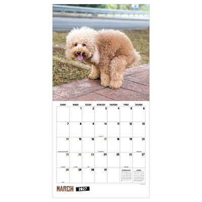 2027 TF Publishing Pooping Dogs 12 x 12 Monthly Wall Calendar, Multicolored (27-1062)