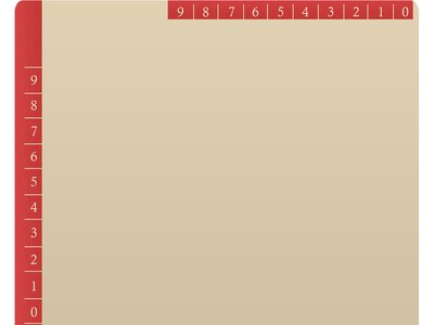 Medical Arts Press Heavy-Duty End Tab File Folder, Straight Cut, Letter-Size, Manila, 50/Box (S-09466-RED)
