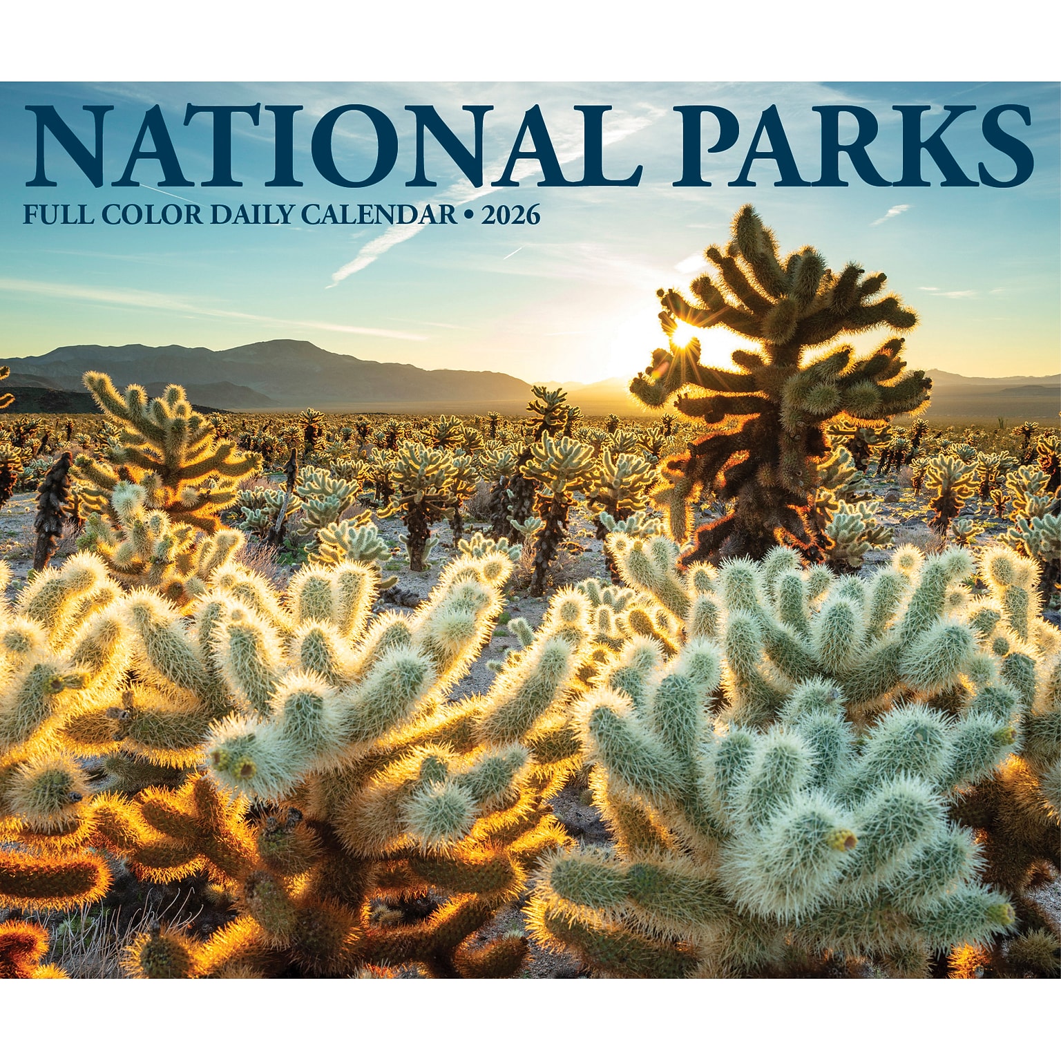 2026 Willow Creek National Parks 6.2 x 5.4 Day-to-Day Calendar (54321)