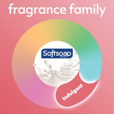 Softsoap Liquid Hand Soap, Milk & Golden Honey Scent, 7.5 Fl. Oz., 6/Carton (US04965ACT)
