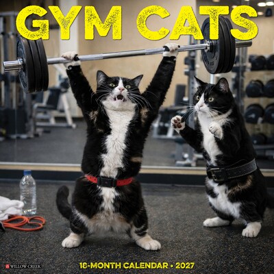2027 Willow Creek Gym Cats  12 x 12 Monthly Wall Calendar (65280)