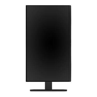 ViewSonic Ergonomic 24" 1080p 100Hz LCD Monitor, HDMI, DisplayPort, VGA, Black, 4-Port USB Hub (VG2451)