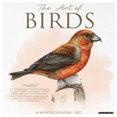 2027 Willow Creek The Art of Birds 12 x 12 Monthly Wall Calendar, Assorted Colors (62579)