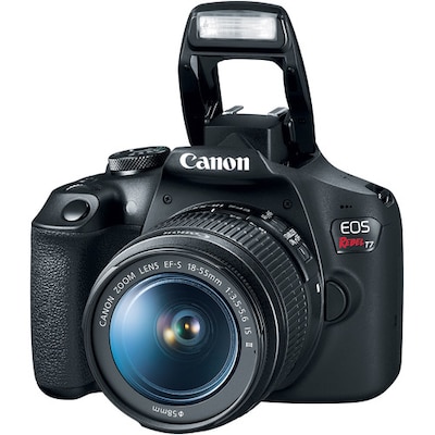 Canon EOS Rebel T7 24.1 Megapixel Camera with 18-55mm and 75-300mm Lenses, Black (2727C021)