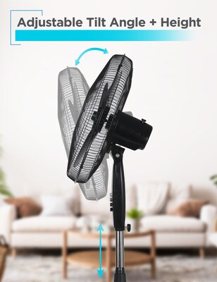 Black & Decker 18" Oscillating Pedestal Fan, 3-Speed, Black (BFP18SXB)